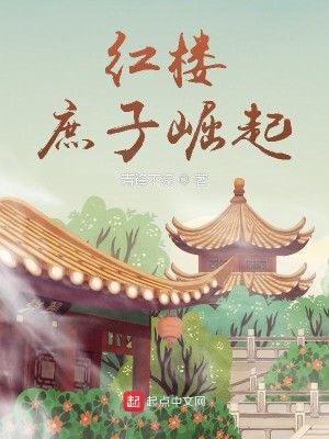 Bìa truyện Hồng Lâu Thứ Tử Quật Khởi (红楼：庶子崛起)