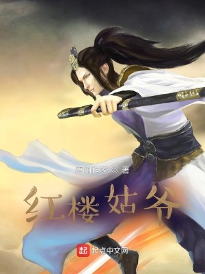Bìa truyện Hồng Lâu Cô Gia (红楼姑爷)