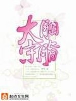 Bìa truyện Yên Chi Đại Tống (胭脂大宋)