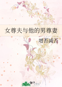 Bìa truyện Nữ Tôn Phu Dữ Tha Đích Nam Tôn Thê (女尊夫与他的男尊妻)