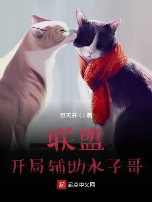 Bìa truyện Liên Minh Khai Cục Phụ Trợ Thủy Tử Ca (联盟：开局辅助水子哥)
