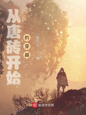 Bìa truyện Tòng Đường Chuyên Khai Thủy Đích Xuyên Việt (从唐砖开始的穿越)
