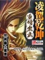 Bìa truyện Lăng Giá Can Khôn (凌驾乾坤)