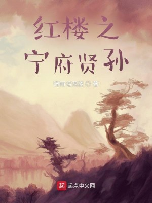 Bìa truyện Hồng Lâu Chi Ninh Phủ Hiền Tôn (红楼之宁府贤孙)