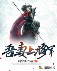 Bìa truyện Ngô Thê Thượng Tương Quân (吾妻上将军)