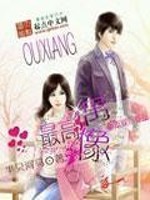 Bìa truyện Tối Cao Ngẫu Tượng (最高偶像)