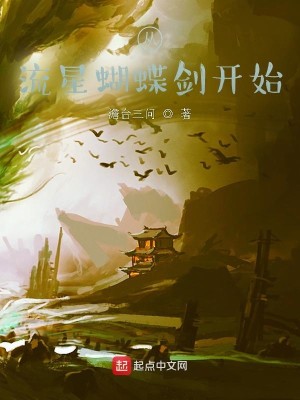 Bìa truyện Tòng Lưu Tinh Hồ Điệp Kiếm Khai Thủy (从流星蝴蝶剑开始)