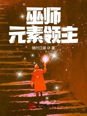 Bìa truyện Vu Sư Nguyên Tố Lĩnh Chủ (巫师：元素领主)