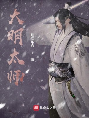 Bìa truyện Đại Minh Thái Sư (大明太师)