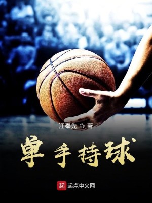 Bìa truyện Đan Thủ Trì Cầu (单手持球)