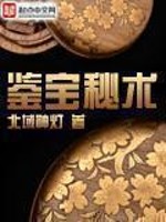 Bìa truyện Giám Bảo Bí Thuật (鉴宝秘术)