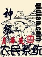Bìa truyện Thần Cấp Nông Dân Hệ Thống (神级农民系统)