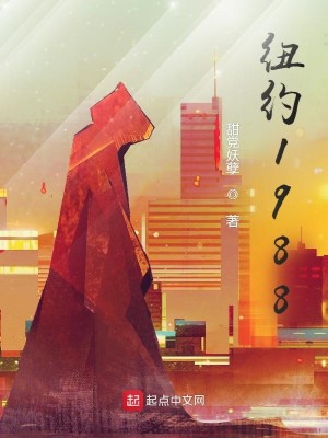 Bìa truyện Nữu Ước 1988 (纽约1988)