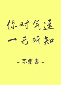 Bìa truyện Nhĩ Đối Khí Vận Nhất Vô Sở Tri (你对气运一无所知)