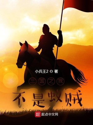 Bìa truyện Tam Quốc Chi Ngã Bất Thị Nghĩ Tặc (三国之我不是蚁贼)