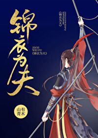 Bìa truyện Cẩm Y Vi Phu (锦衣为夫)