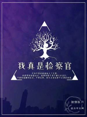 Bìa truyện Ngã Chân Thị Kiểm Sát Quan (我真是检察官)