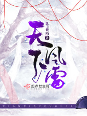 Bìa truyện Thiên Hạ Phong Lôi (天下风雷)