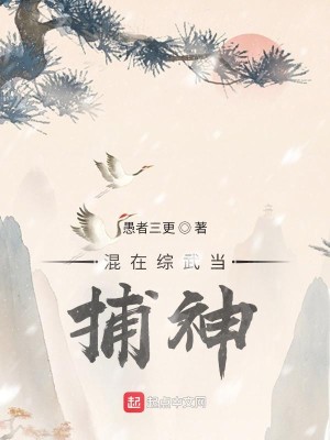 Bìa truyện Hỗn Tại Tống Vũ Đương Bộ Thần (混在综武当捕神)