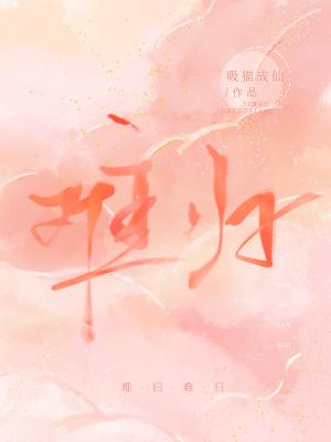 Bìa truyện Nan Quy (难归)