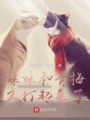 Bìa truyện Muội Muội Hòa Thanh Mai Hựu Đả Khởi Lai Liễu (妹妹和青梅又打起来了)