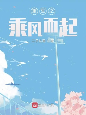 Bìa truyện Trọng Sinh Chi Thừa Phong Nhi Khởi (重生之乘风而起)