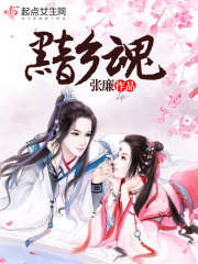 Bìa truyện Ảm Hương Hồn (黯乡魂)