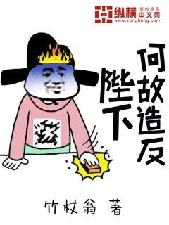 Bìa truyện Bệ Hạ Hà Cố Tạo Phản (陛下何故造反)