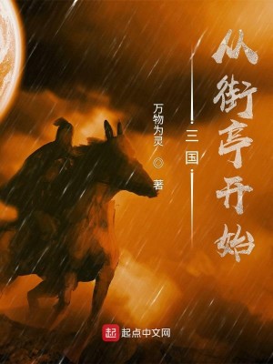 Bìa truyện Tam Quốc Tòng Nhai Đình Khai Thủy (三国：从街亭开始)
