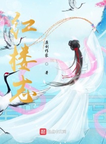 Bìa truyện Hồng Lâu Chí (红楼志)