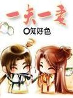 Bìa truyện Nhất Phu Nhất Thê (一夫一妻)