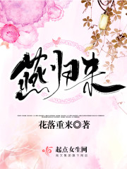 Bìa truyện Yến Quy Lai (燕归来)