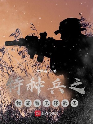 Bìa truyện Đặc Chủng Binh Chi Ngã Năng Khán Kiến Kinh Nghiệm Điều (特种兵之我能看见经验条)
