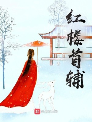 Bìa truyện Hồng Lâu Thủ Phụ (红楼首辅)
