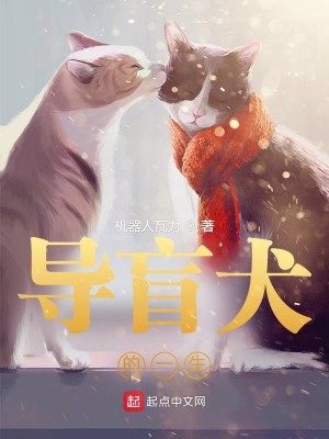 Bìa truyện Đạo Manh Khuyển Đích Nhất Sinh (导盲犬的一生)