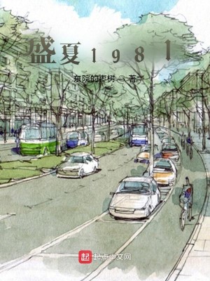 Bìa truyện Thịnh Hạ 1981 (盛夏1981)