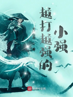 Bìa truyện Minh Mạt Lưu Tặc Mô Nghĩ Khí (明末流贼模拟器)
