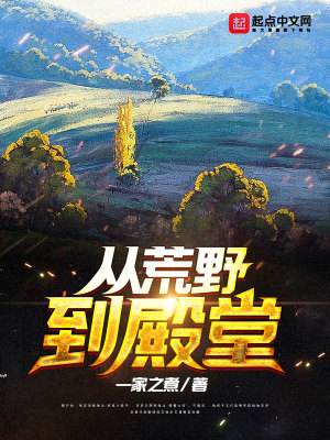 Bìa truyện Tòng Hoang Dã Đáo Điện Đường (从荒野到殿堂)