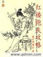 Bìa truyện Hồng Lâu Pháo Hôi Công Lược (红楼炮灰攻略)