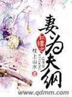 Bìa truyện Hồng Lâu Chi Thê Vi Phu Cương (红楼之妻为夫纲)