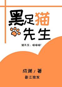 Bìa truyện Hắc Túc Miêu Tiên Sinh Tống (黑足猫先生[综])