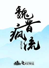 Bìa truyện Ngụy Tấn Phong Lưu (魏晋疯流)