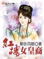 Bìa truyện Hồng Lâu Nữ Hoàng Thương (红楼女皇商)
