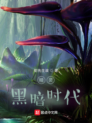 Bìa truyện Tinh Linh Hắc Ám Thời Đại (精灵：黑暗时代)