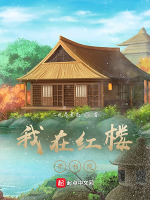 Bìa truyện Ngã Tại Hồng Lâu Khai Thư Viện (我在红楼开书院)