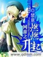 Bìa truyện Võng Du Chi Nhiên Nhiên Thăng Khởi (网游之燃燃升起)