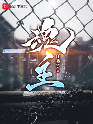 Bìa truyện Hồn Chủ (魂主)