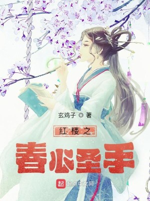 Bìa truyện Hồng Lâu Chi Xuân Tâm Thánh Thủ (红楼之春心圣手)