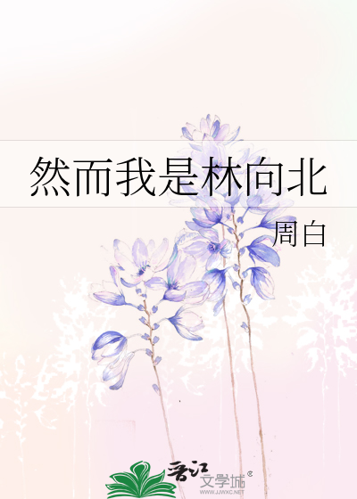 Bìa truyện Nhiên Nhi Ngã Thị Lâm Hướng Bắc (然而我是林向北)