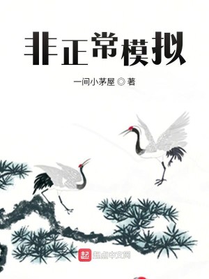 Bìa truyện Phi Chính Thường Mô Nghĩ (非正常模拟)